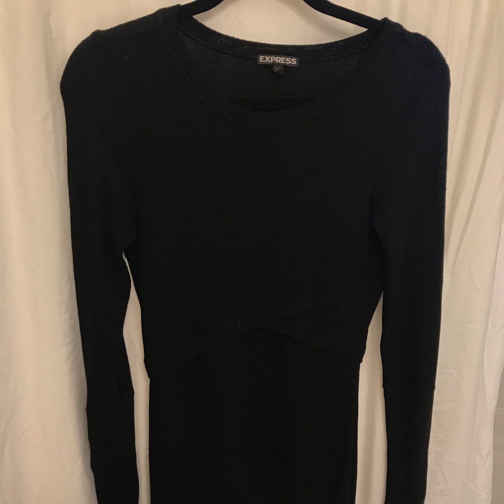 Express sweater dress